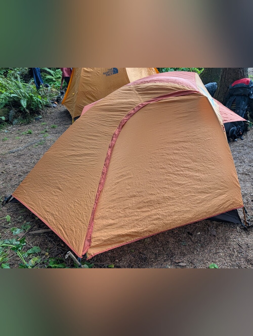 Alps Mountaineering Zephy 2 Person Tent - Picture 3 of 3